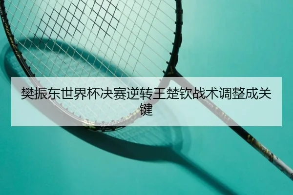 樊振东世界杯决赛逆转王楚钦战术调整成关键