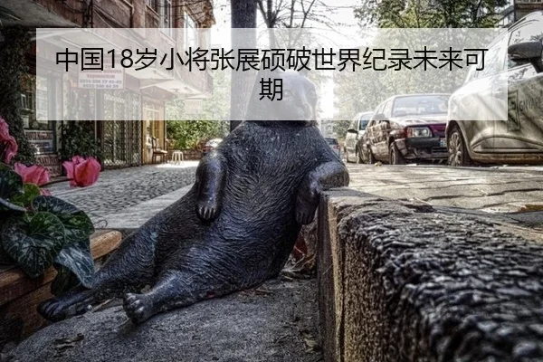 中国18岁小将张展硕破世界纪录未来可期